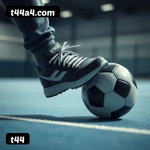 6 vantagens exclusivas do programa VIP da t44